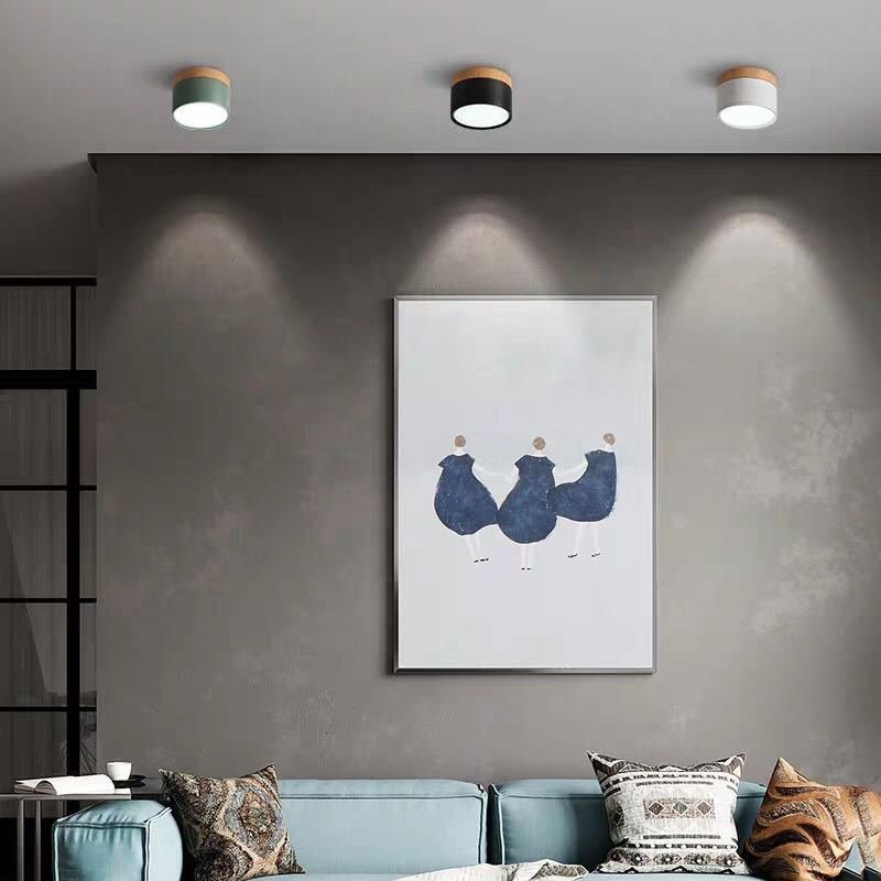 Modern LED Ceiling Light in Morandi Style