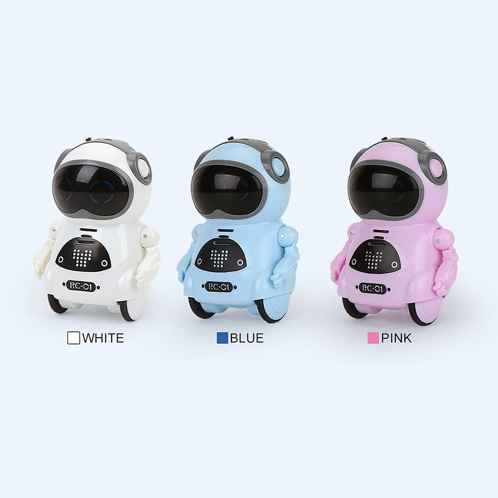 Mini Interactive Robot Companion