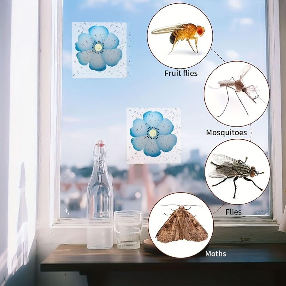 ClearGuard – Effective Insect Traps for Home & Garden