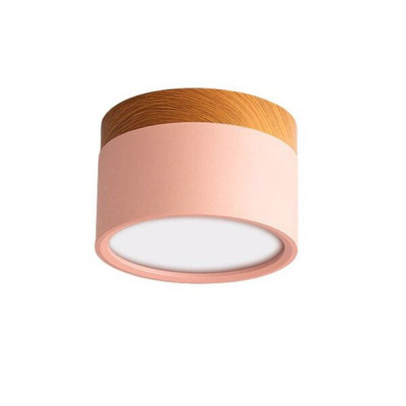 Modern LED Ceiling Light in Morandi Style