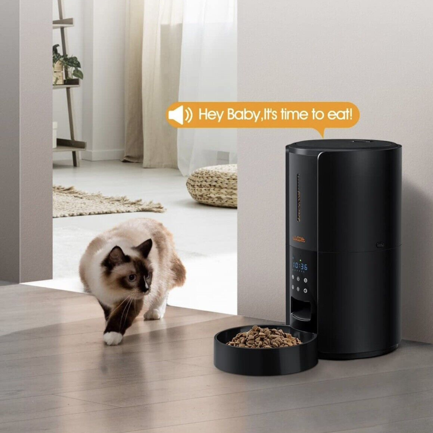 Smart Pet Meal Manager: Automatic Feeder for Dogs & Cats