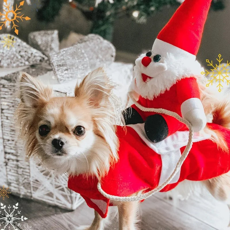 Festive Santa Companion Dog Outfit for Holiday Cheer