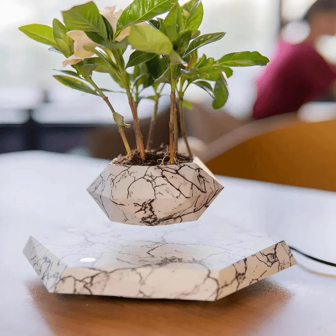Magnetic Levitation Floating Plant Display Holder