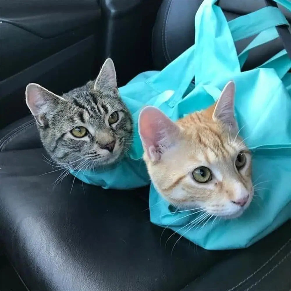 Travel-Friendly Cat Carrier Pouch for Stress-Free Outings