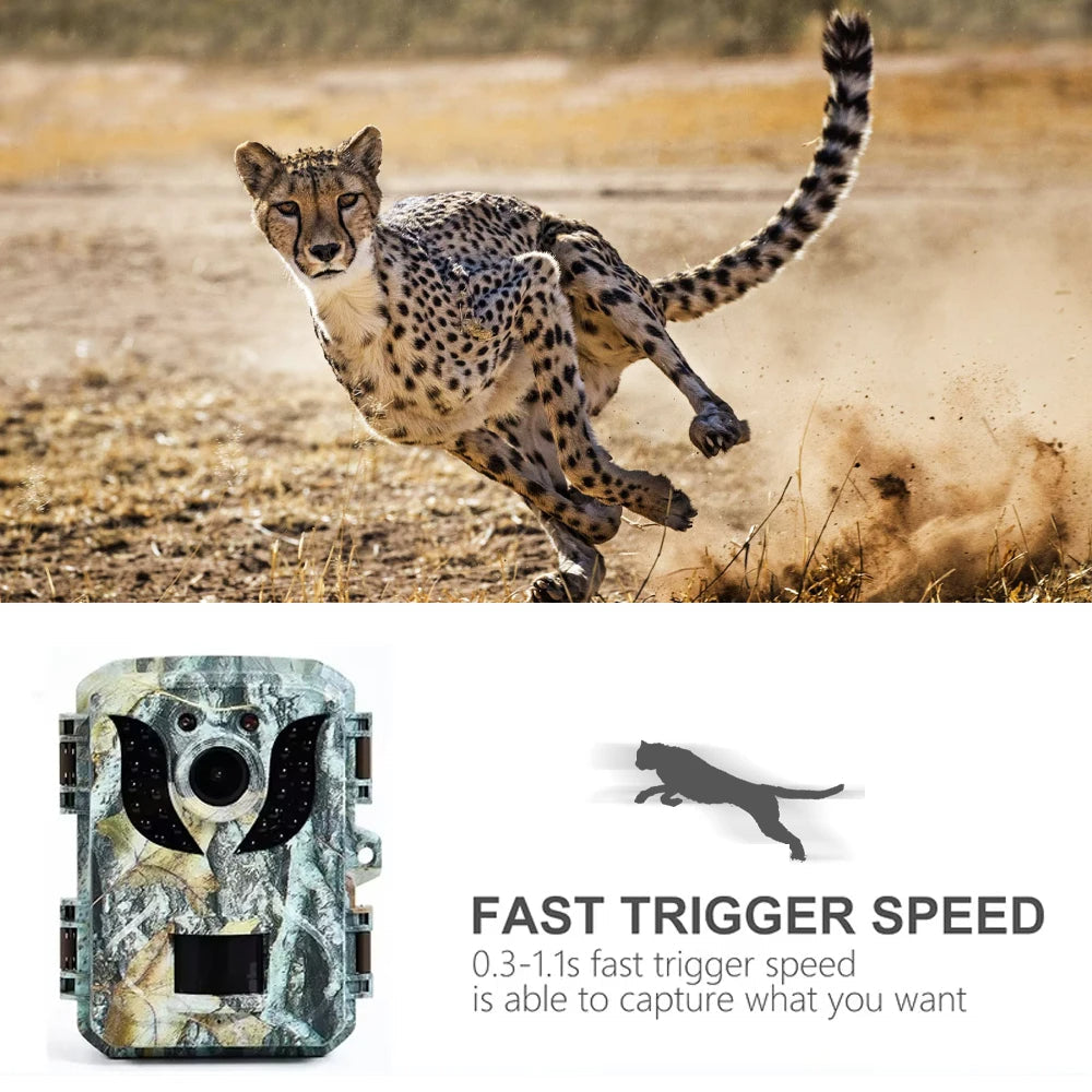 All-Weather Wildlife Surveillance Camera with Night Vision