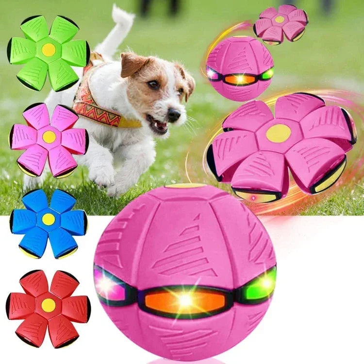 Bounce & Glow Frisbee Dog Plaything