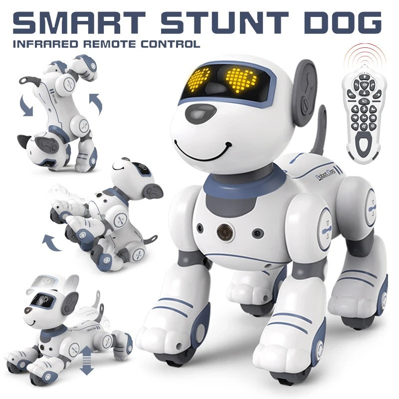Interactive Companion Robot for Kids