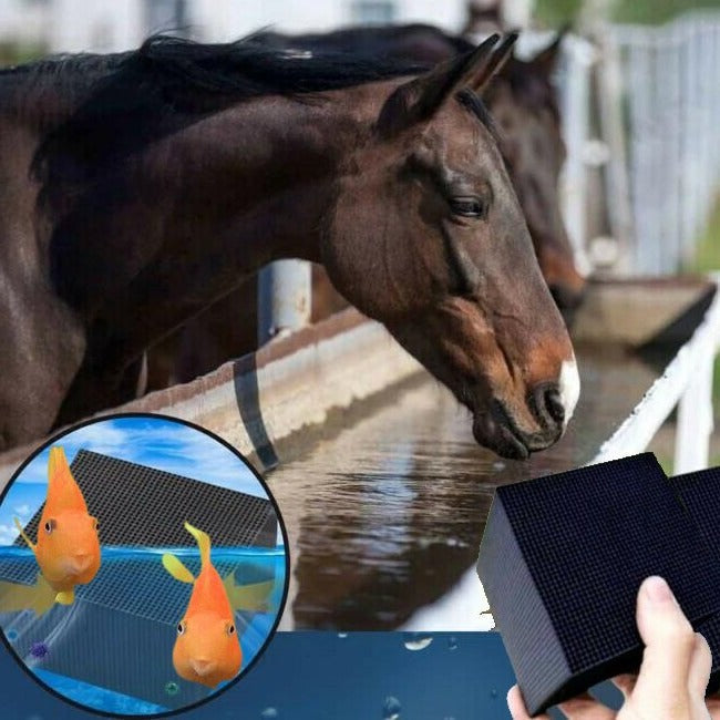 Eco-Friendly Water Purifier Cube for Livestock & Aquatic Life