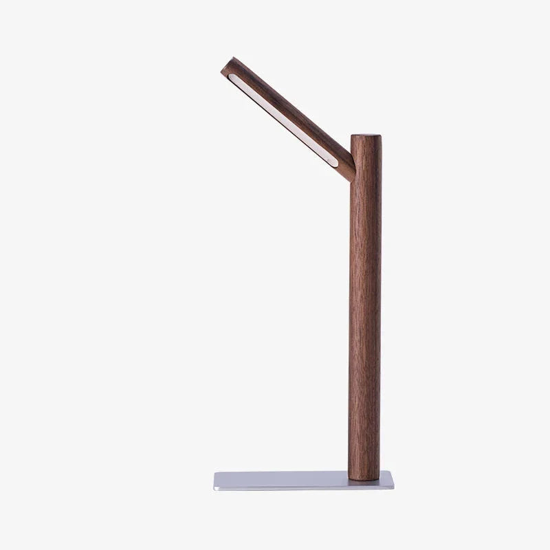 360° Adjustable Head LED Desk Lamp