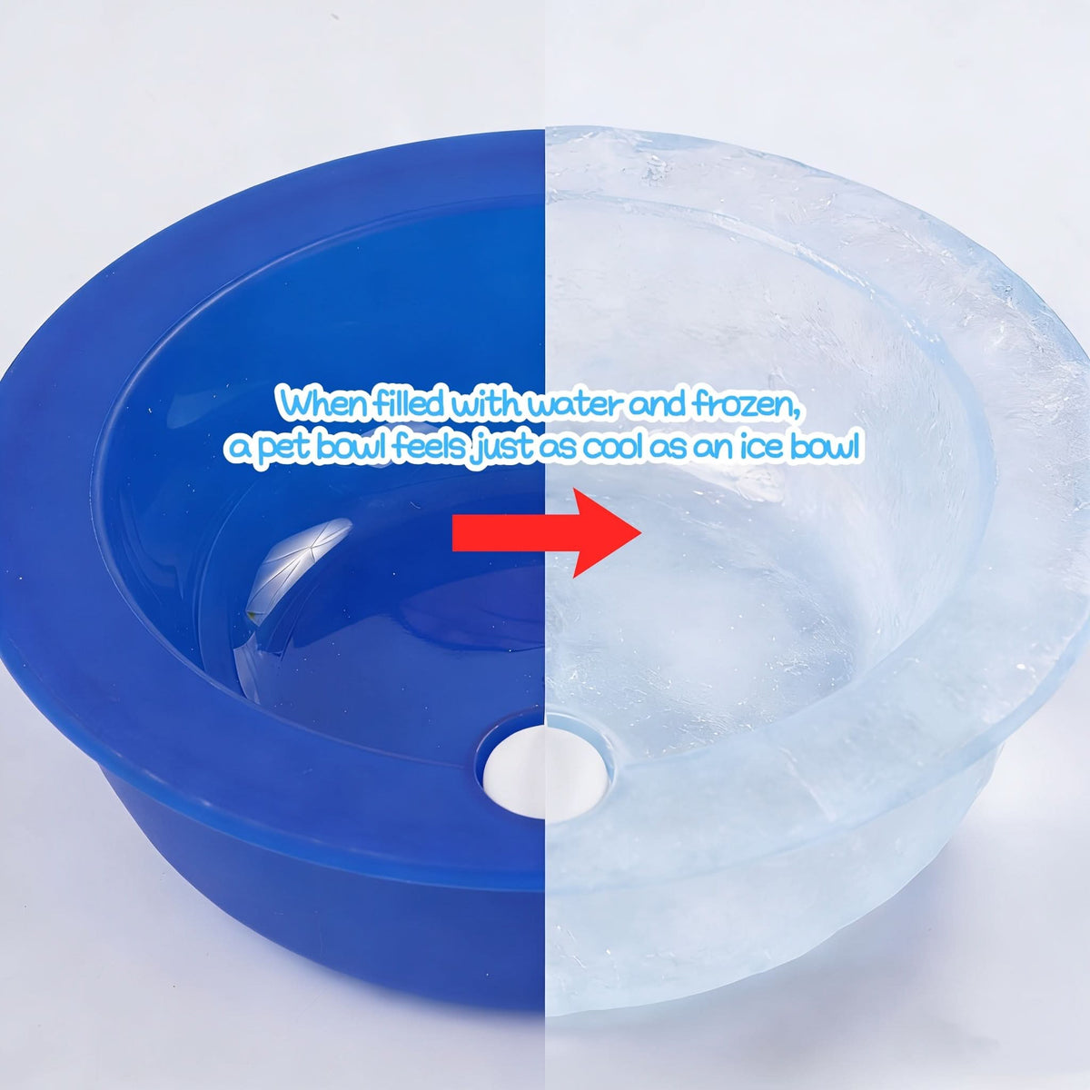 ChillWave – Ultimate Hydration Bowl for Pet Comfort