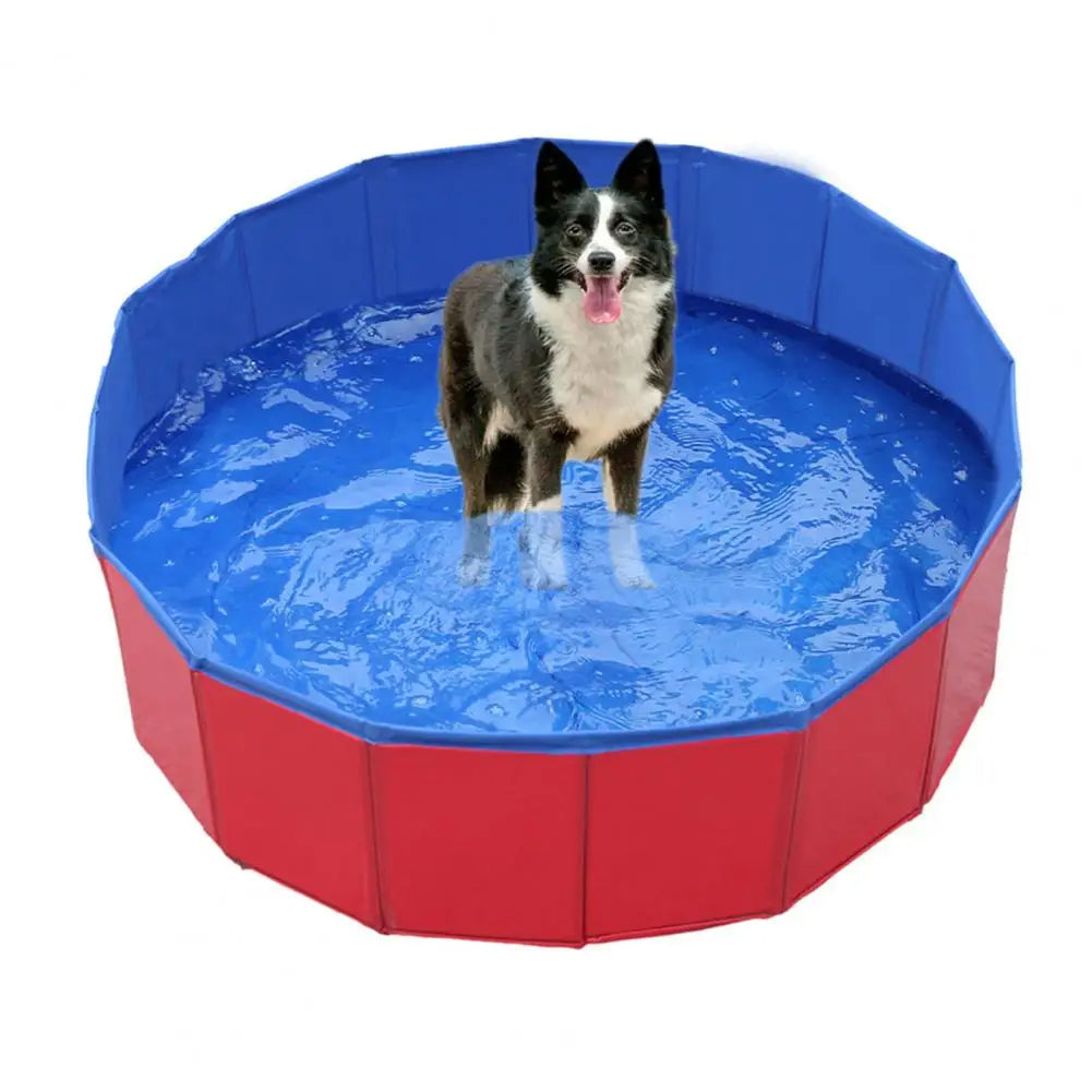 Portable Pet Splash Pool for Summer Fun
