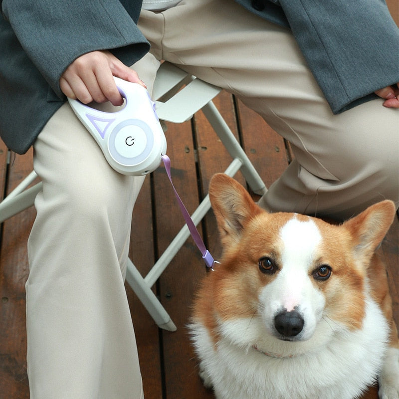 Illuminated Retractable Dog Leash for Safe Night Walks