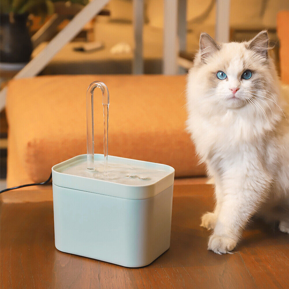 Smart Pet Hydration Station