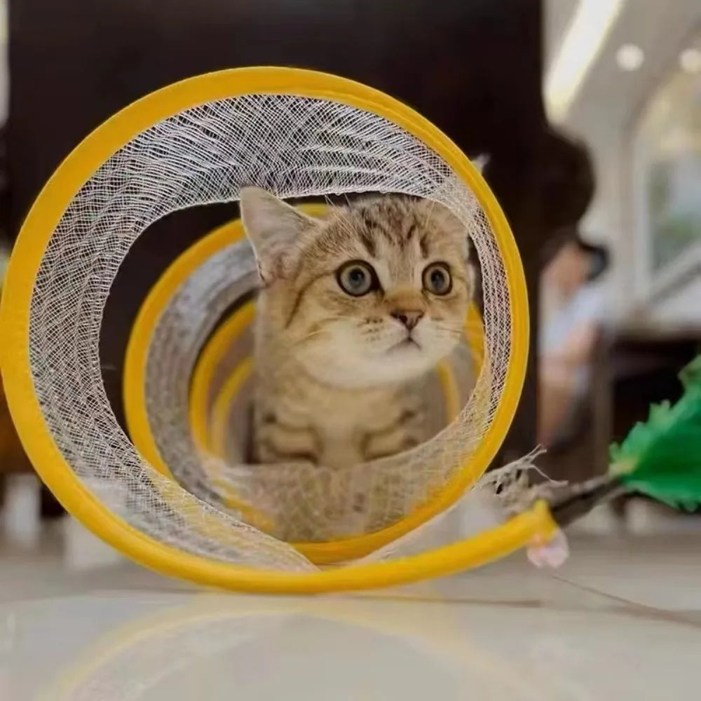 Foldable Curved Interactive Cat Play Tunnel