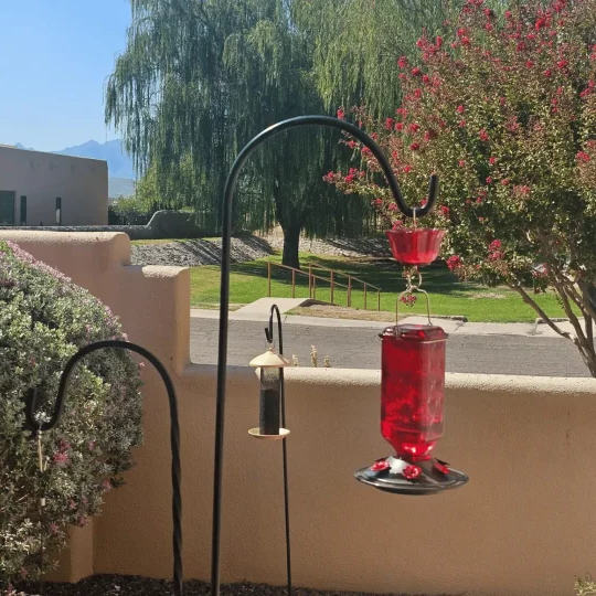 Elegant 24oz Glass Nectar Feeder for Hummingbirds
