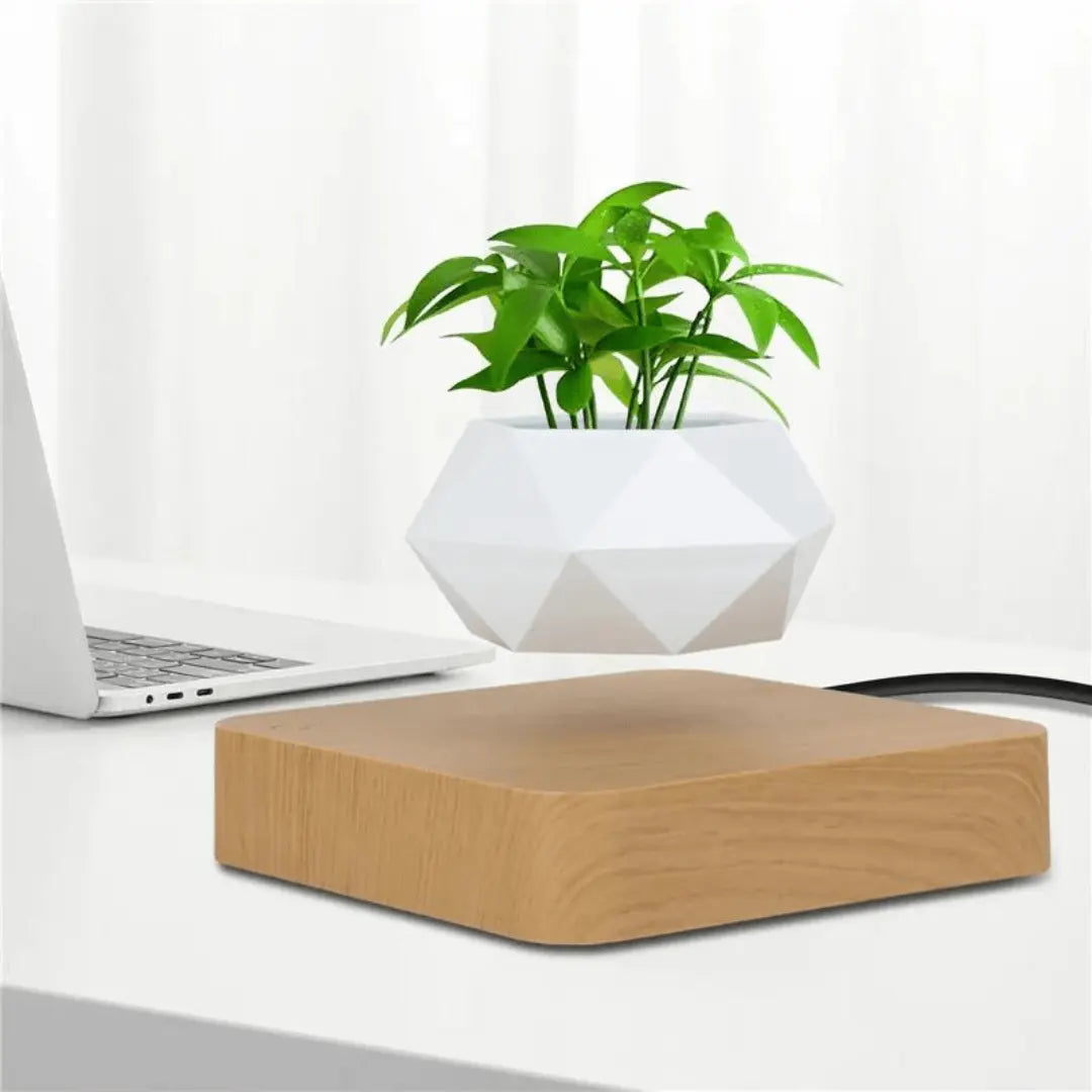 Magnetic Levitation Floating Plant Display Holder