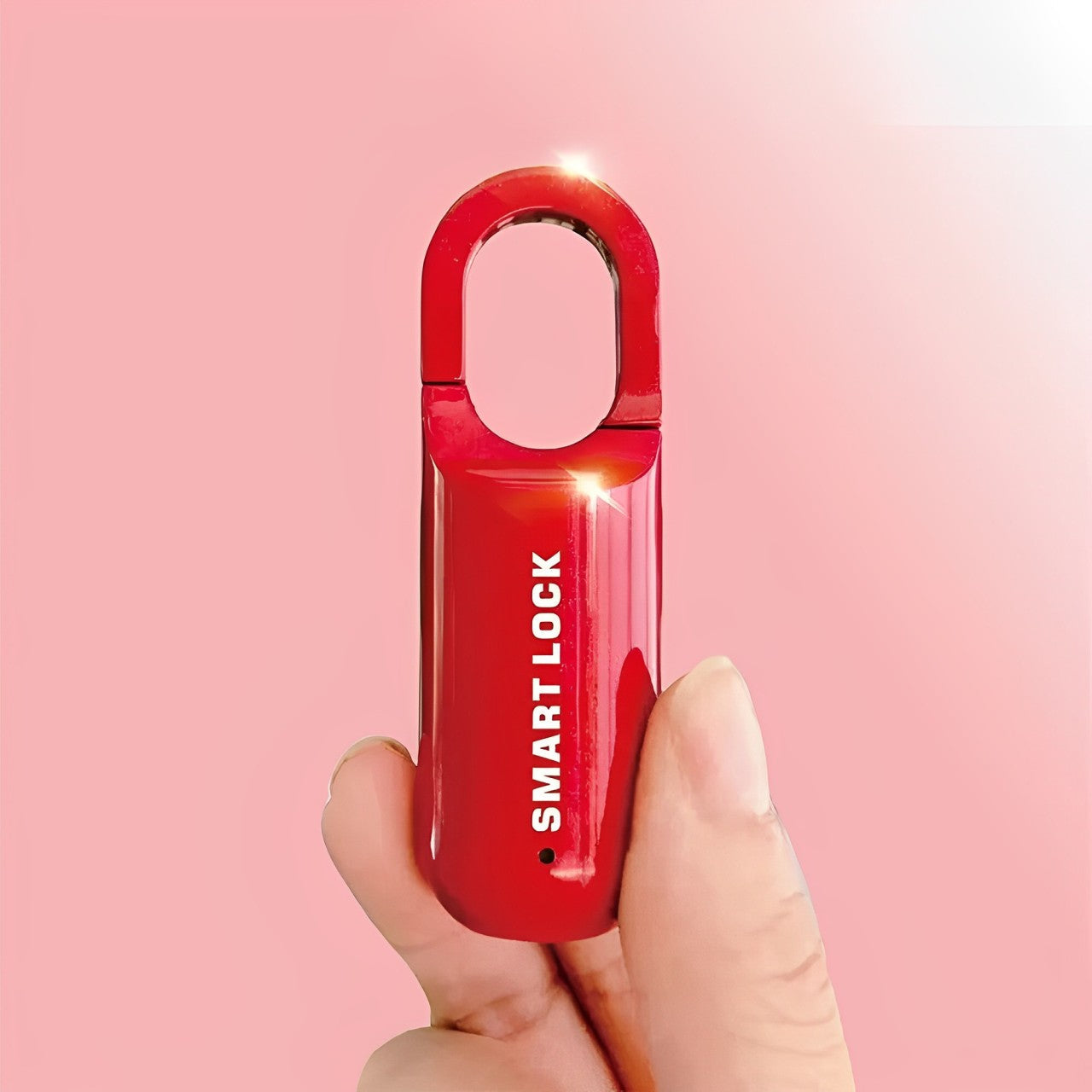 Keyless Security: Smart Fingerprint Lock