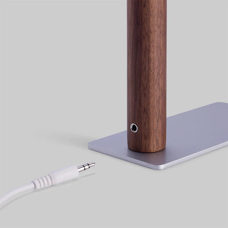 360° Adjustable Head LED Desk Lamp