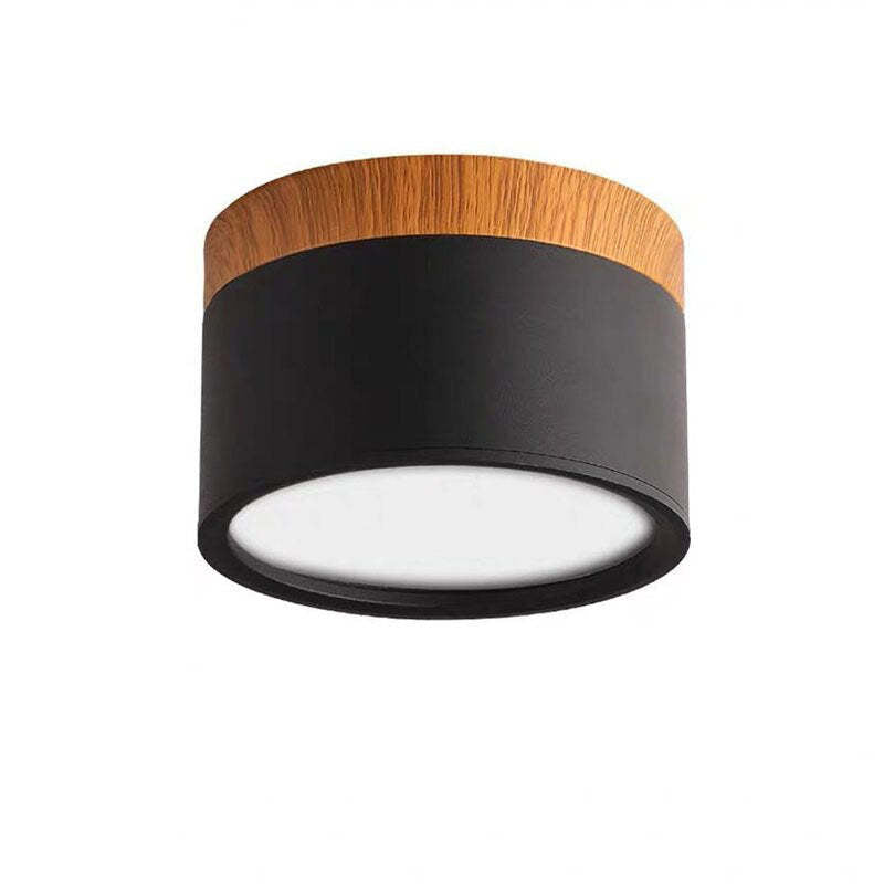 Modern LED Ceiling Light in Morandi Style
