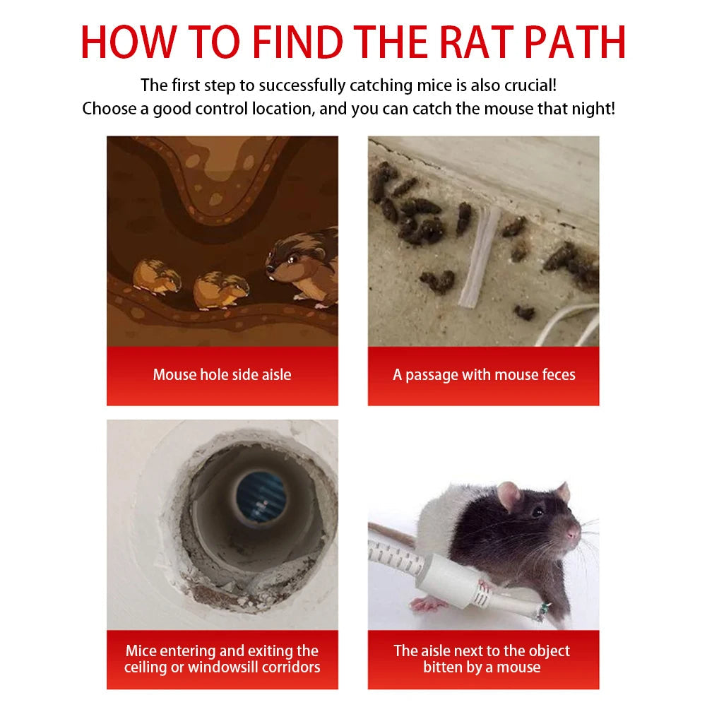 Eco-Friendly Rodent Capture Cage with Sliding Access