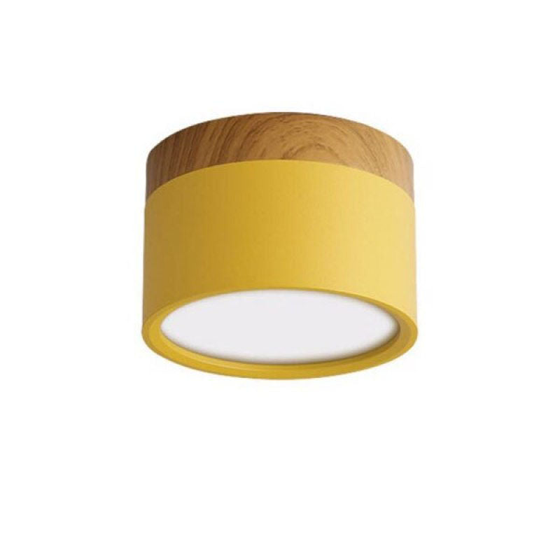 Modern LED Ceiling Light in Morandi Style