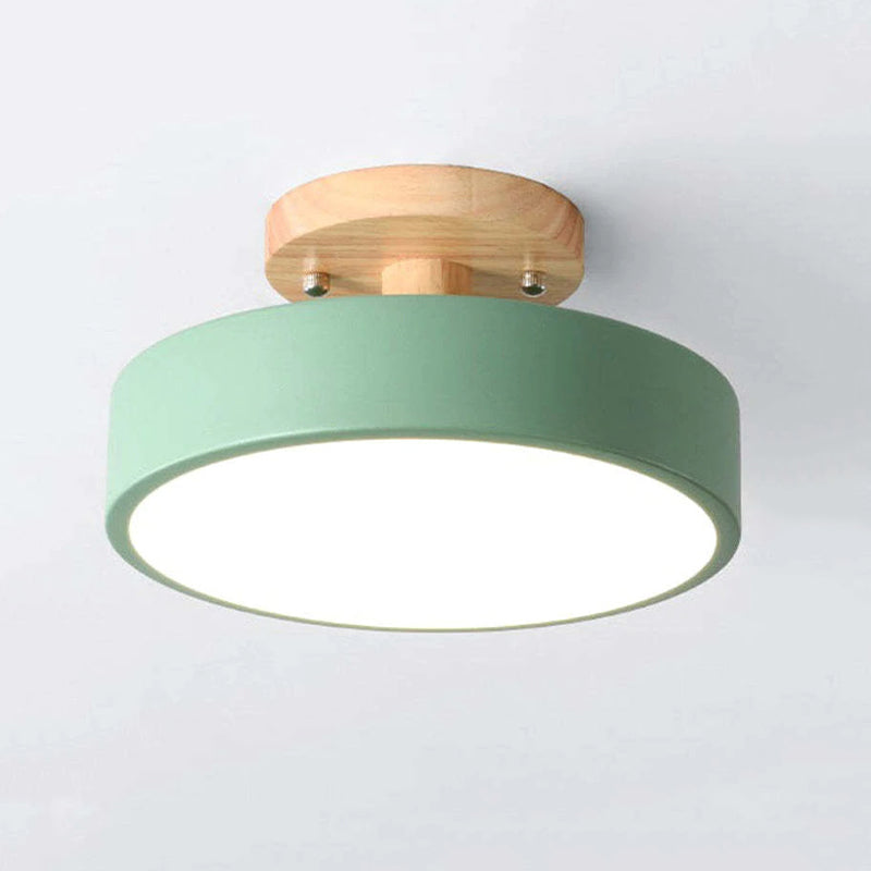 Contemporary Ceiling Light Fixture with LED Technology