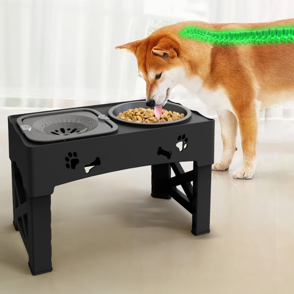 Customizable Elevated Slow Feed Dog Bowl