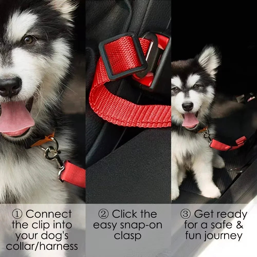 Versatile Pet Safety Harness for Car Travel