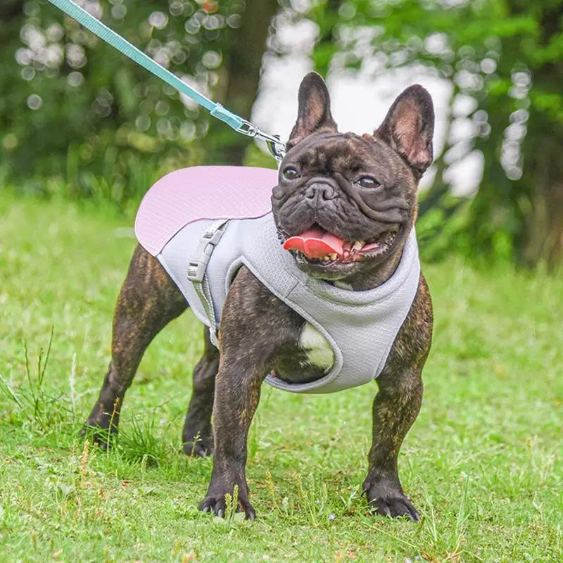 Cooling Jacket for Dogs - Perfect for Summer Adventures