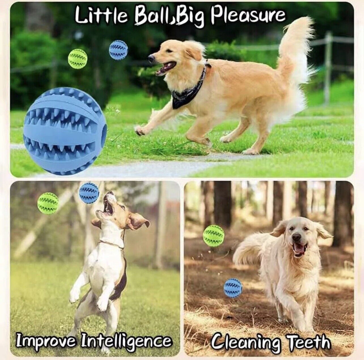 Engaging Chew Ball for Playful Pets