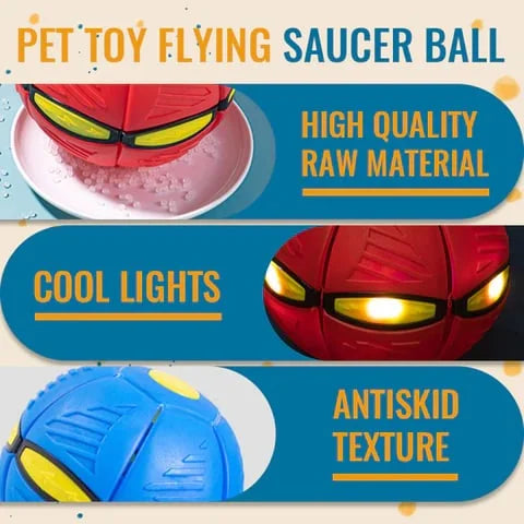 Bounce & Glow Frisbee Dog Plaything