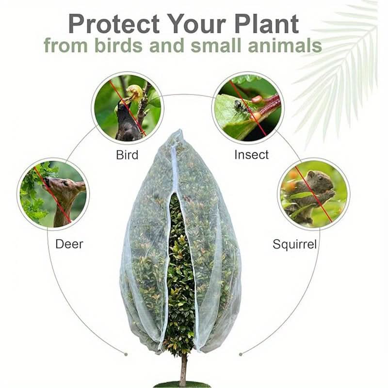 Airflow-Optimized Mesh Bags for Fruit Tree Defense