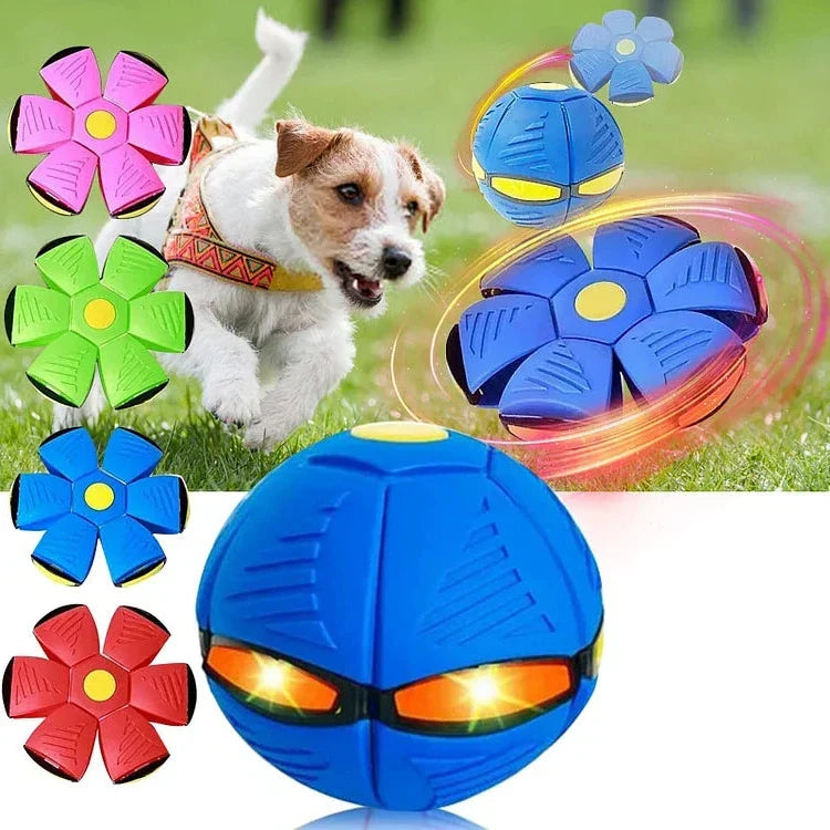 Bounce & Glow Frisbee Dog Plaything