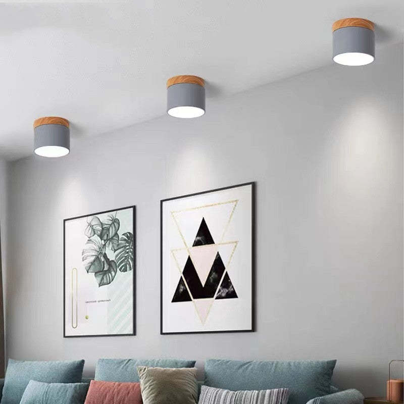 Modern LED Ceiling Light in Morandi Style