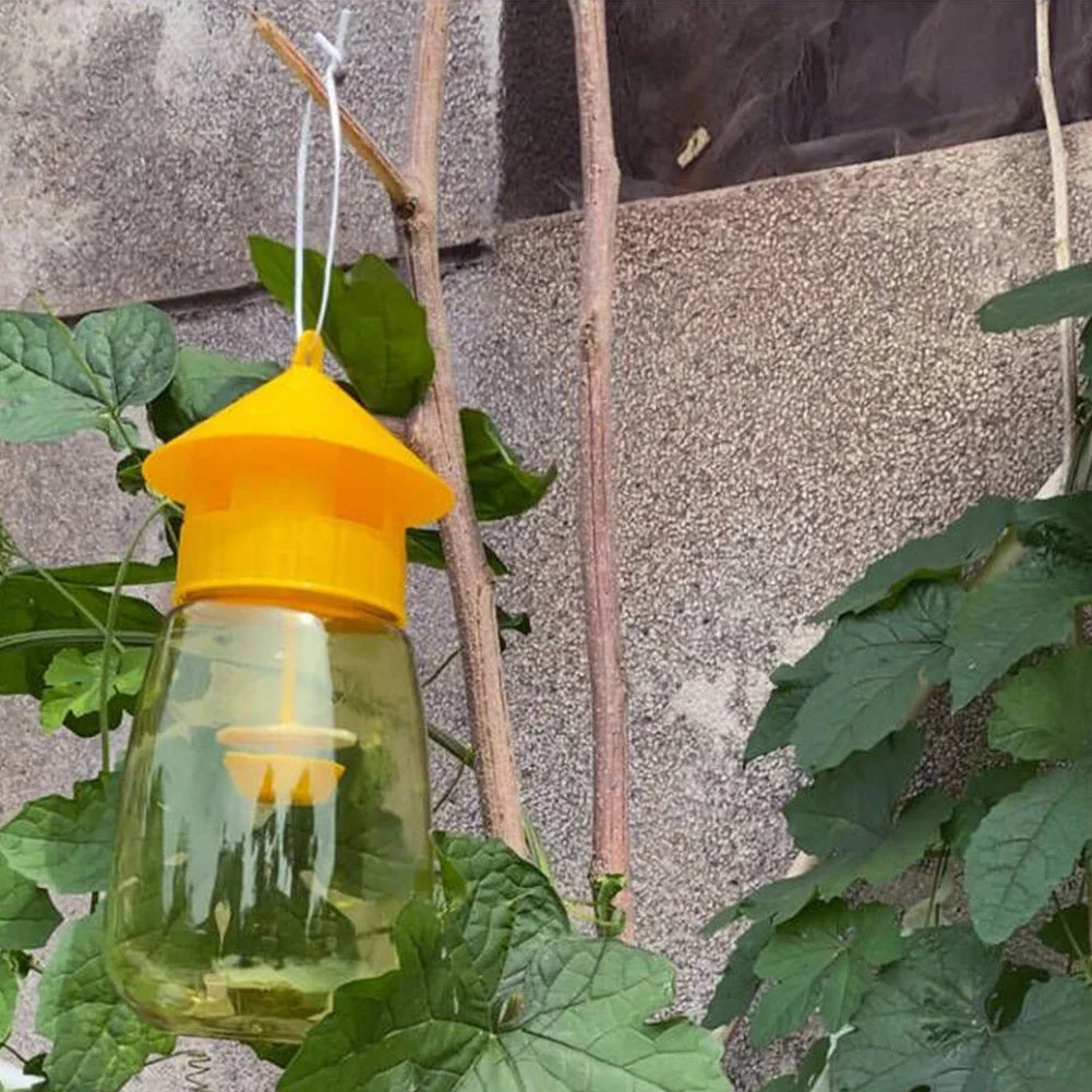Effective Hanging Trap for Fruit Fly Control