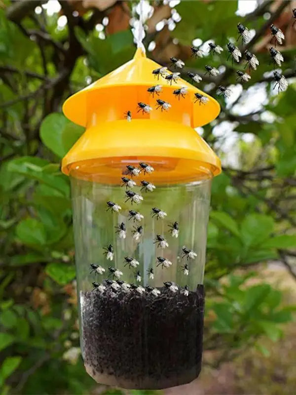 Eco-Friendly Hanging Fly Catcher for Outdoor Spaces