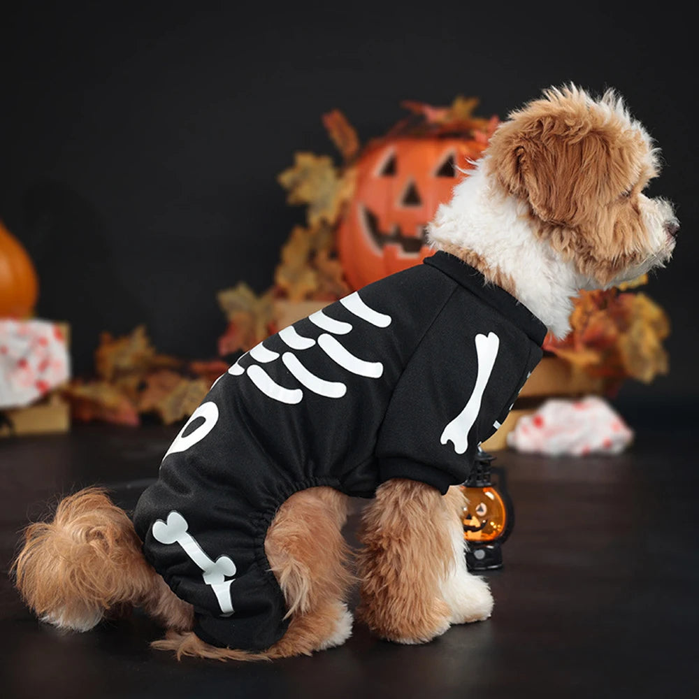 Glow-in-the-Dark Skeleton Costume for Dogs and Cats
