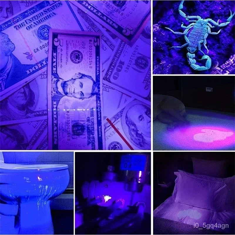 Powerful UV Light for Hidden Stain and Bug Detection
