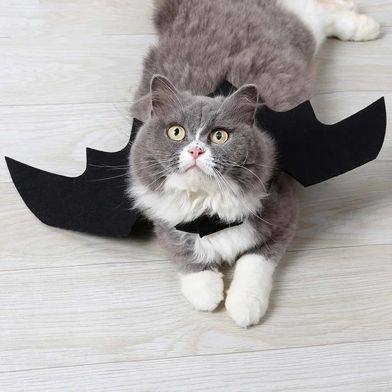 Enchanting Bat Wings Pet Costume for Halloween Fun