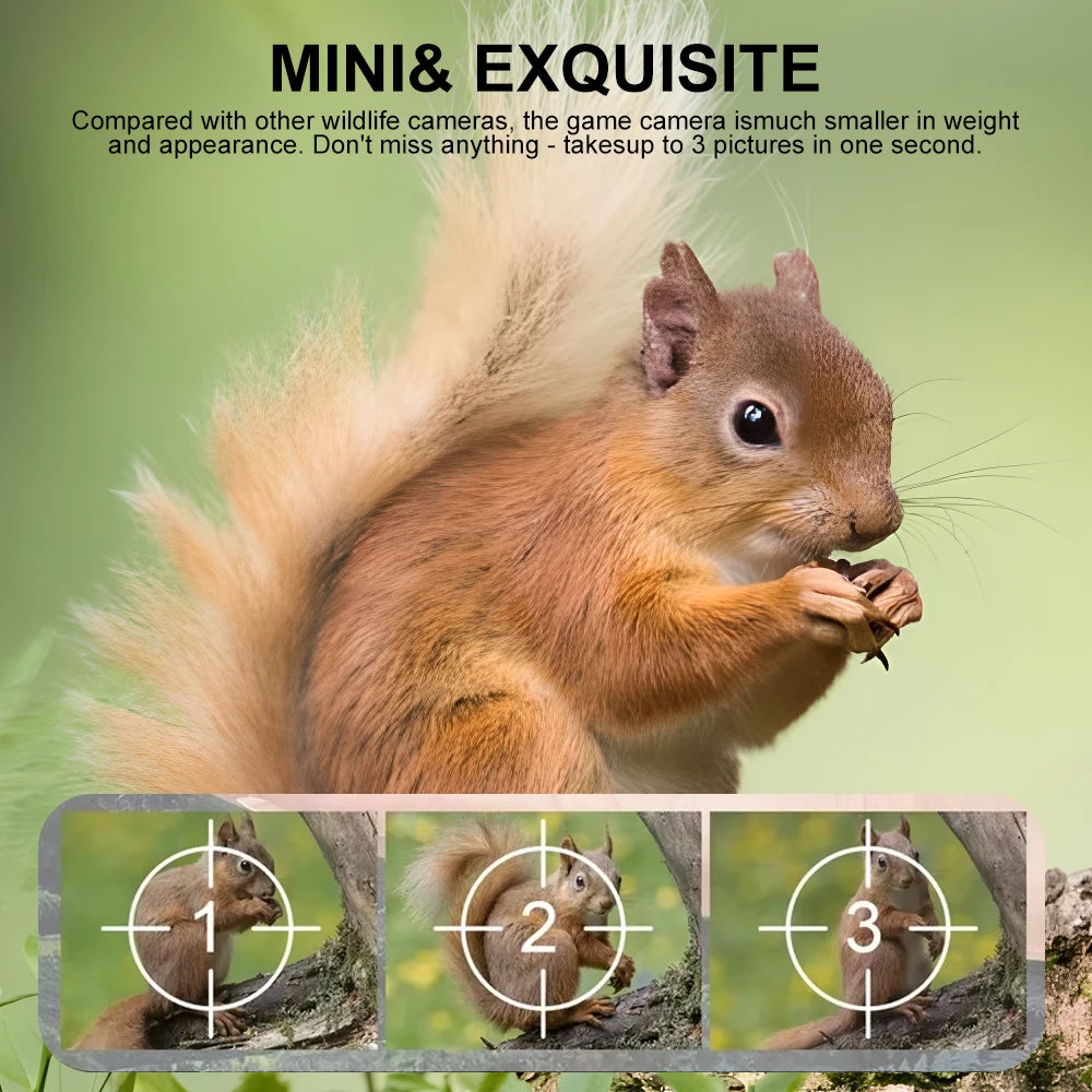 All-Weather Wildlife Surveillance Camera with Night Vision