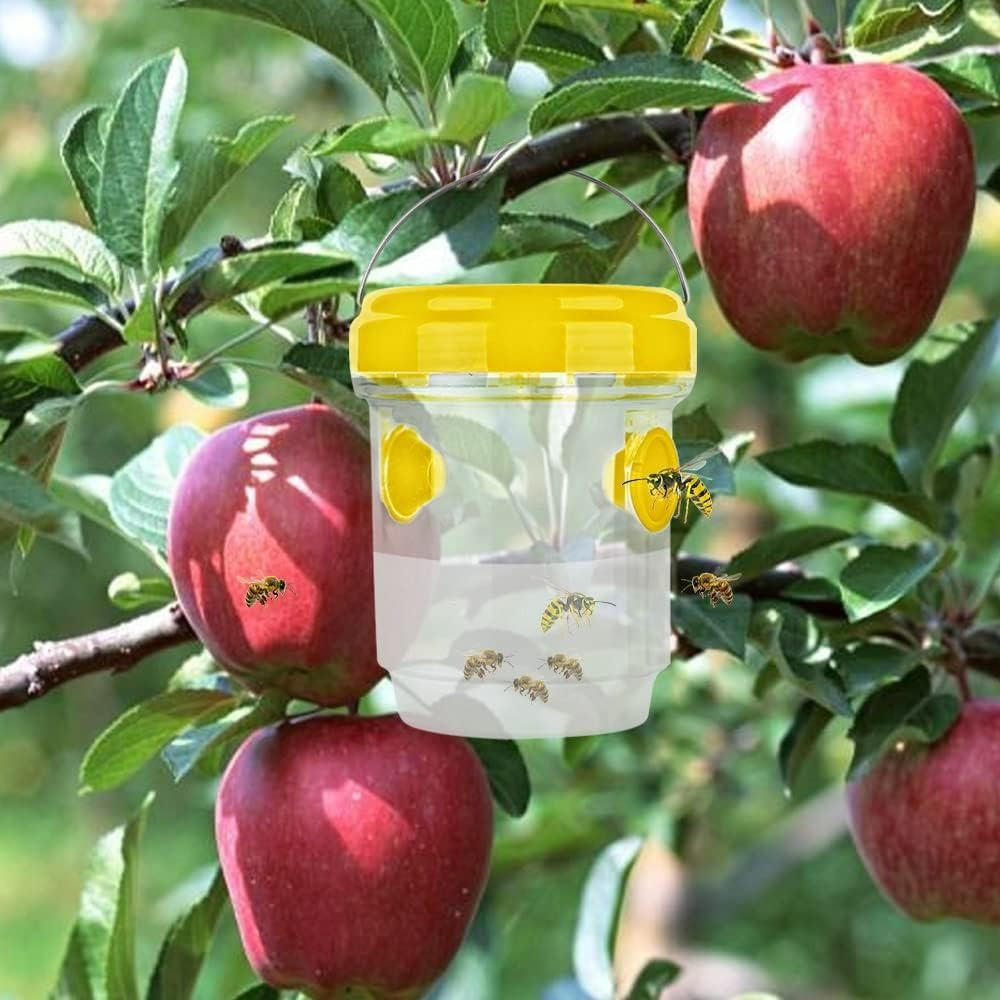 Effective Pest Control: Smart Insect Traps for Fruit Flies