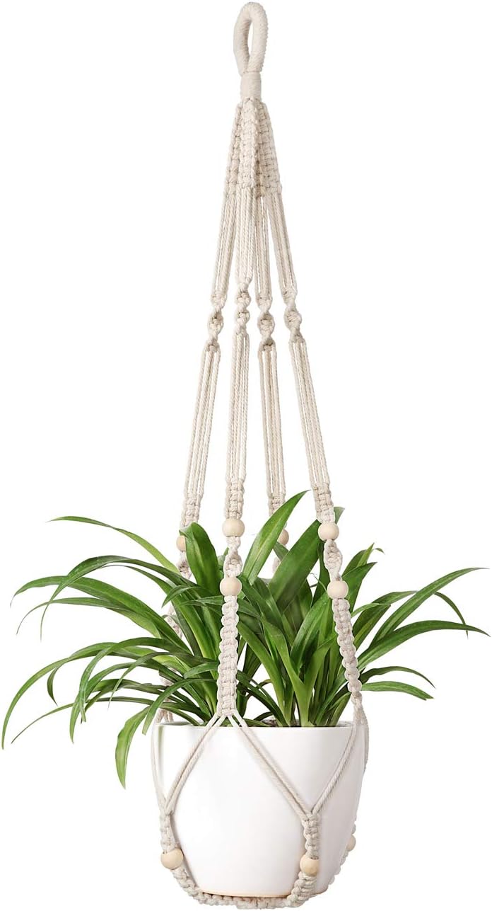 Stylish Indoor Hanging Plant Holder