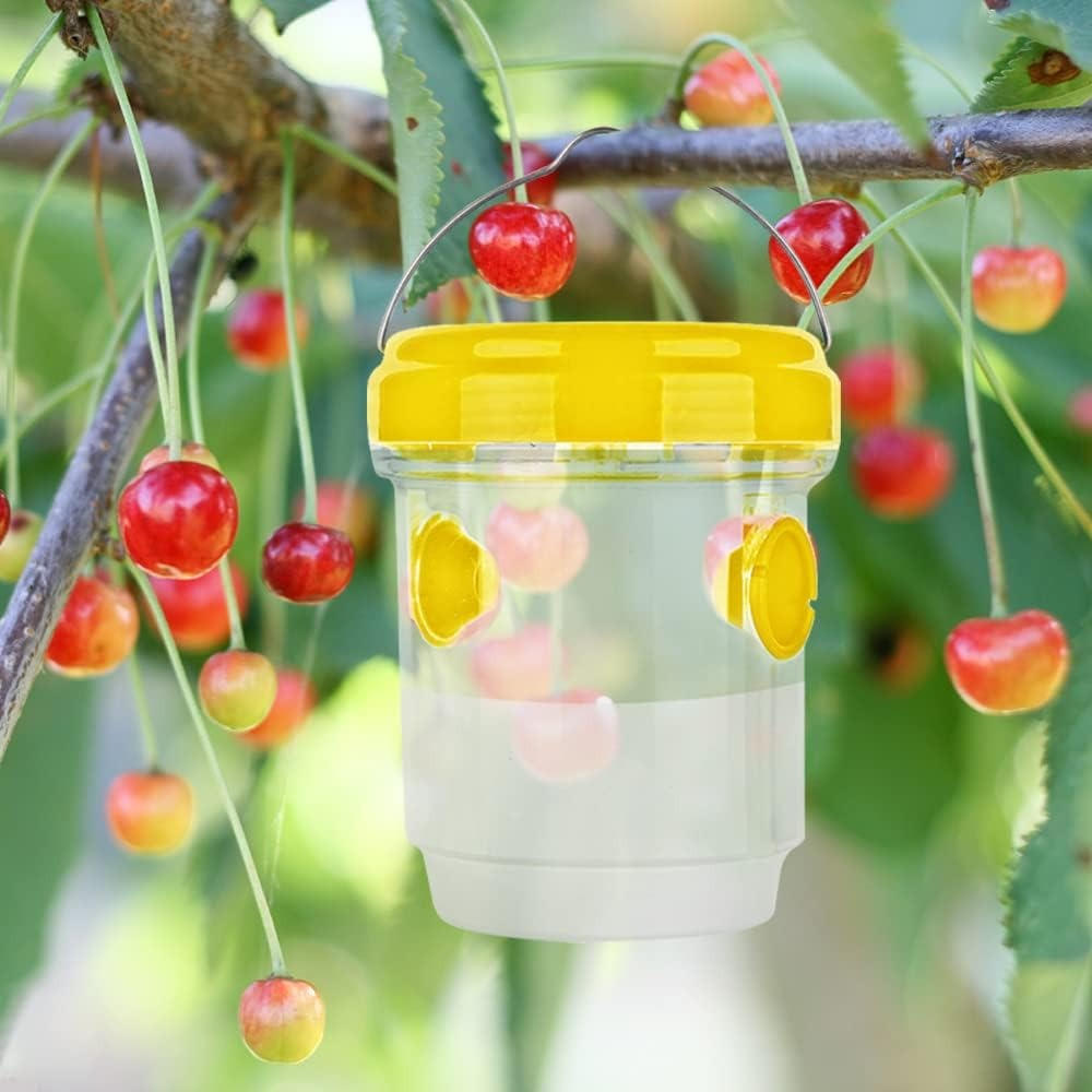 Effective Pest Control: Smart Insect Traps for Fruit Flies