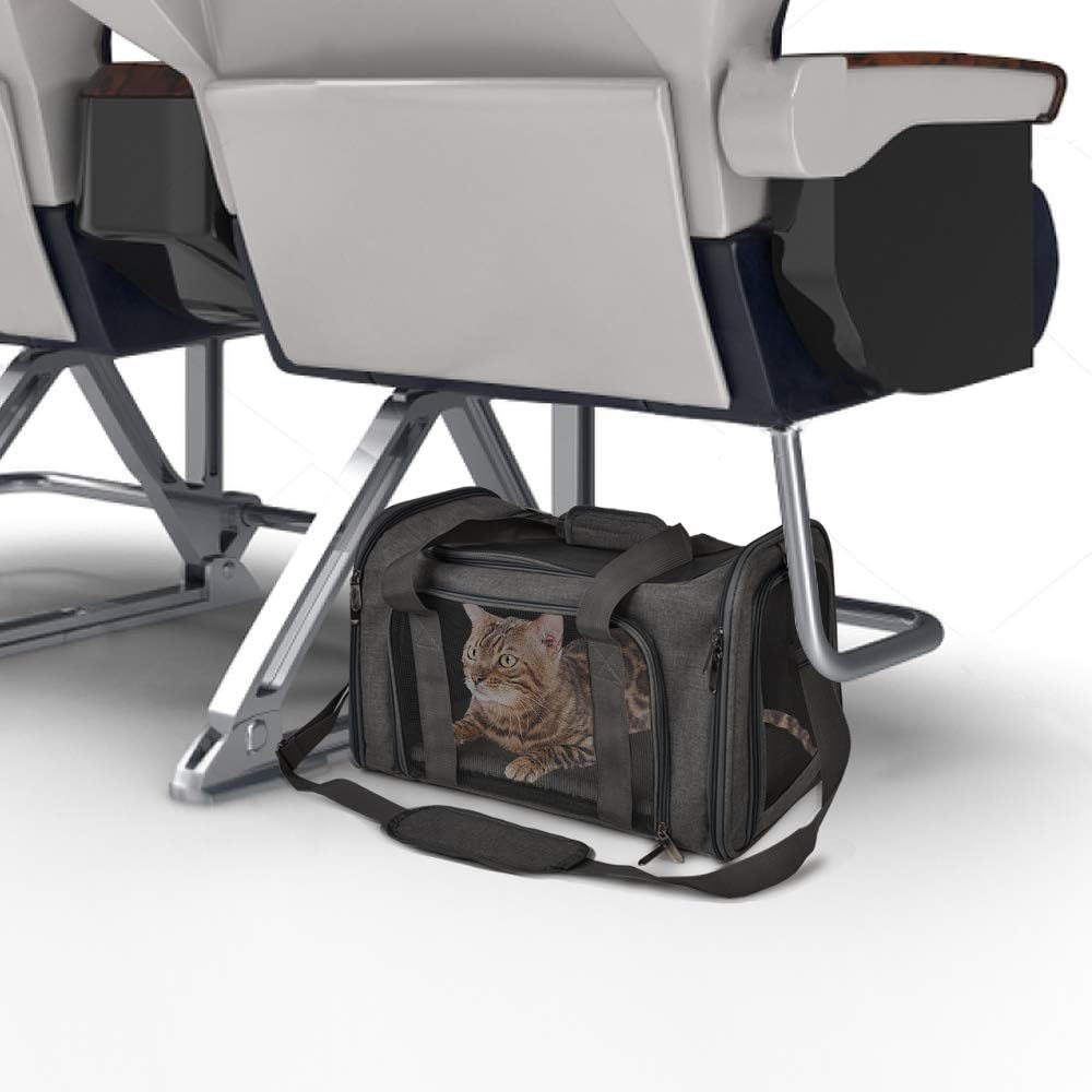 Comfortable Pet Travel Carrier for Small Dogs and Cats