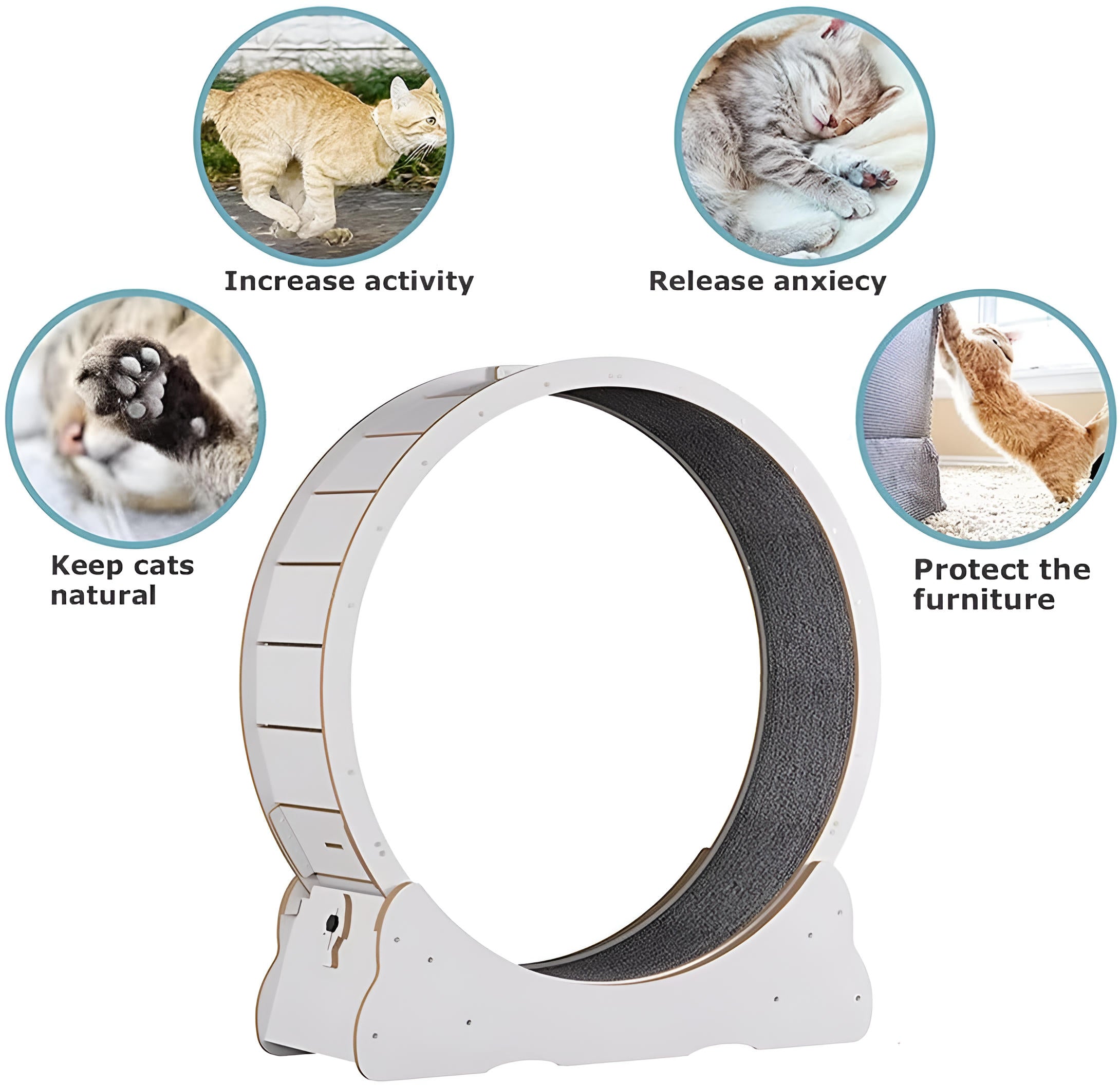 Purrfect Motion Cat Fitness Wheel
