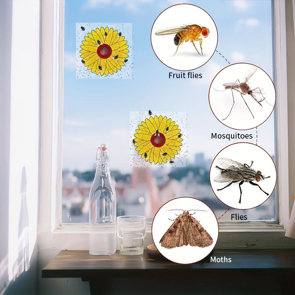 ClearGuard – Effective Insect Traps for Home & Garden