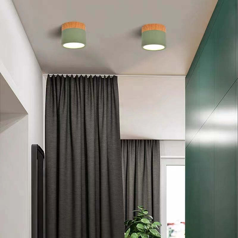 Modern LED Ceiling Light in Morandi Style