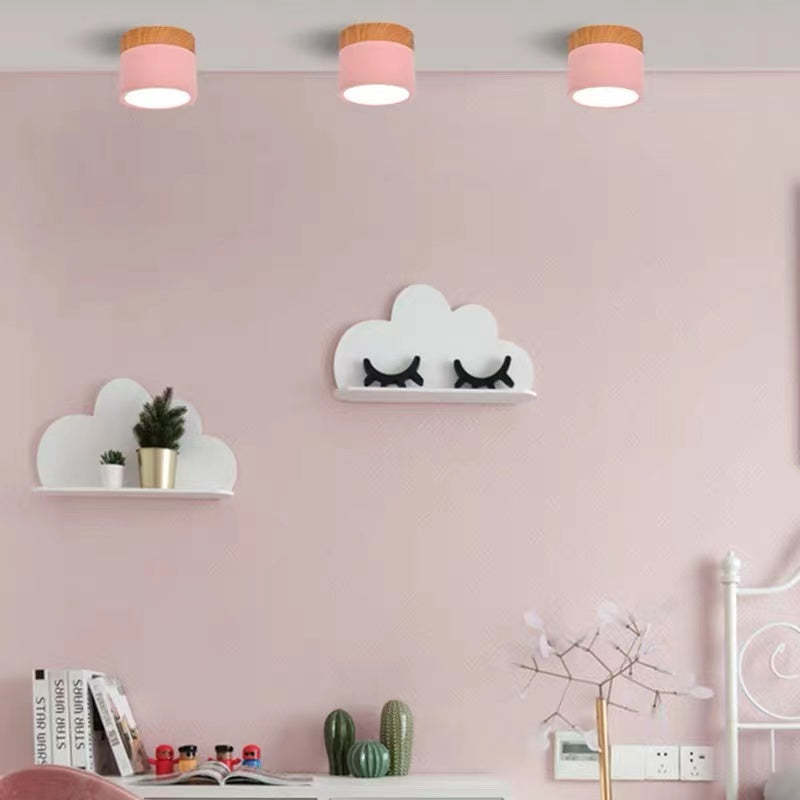 Modern LED Ceiling Light in Morandi Style