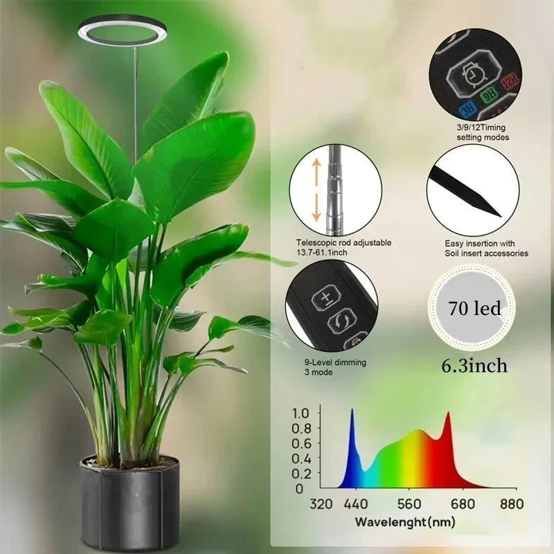 Indoor Plant Illumination System