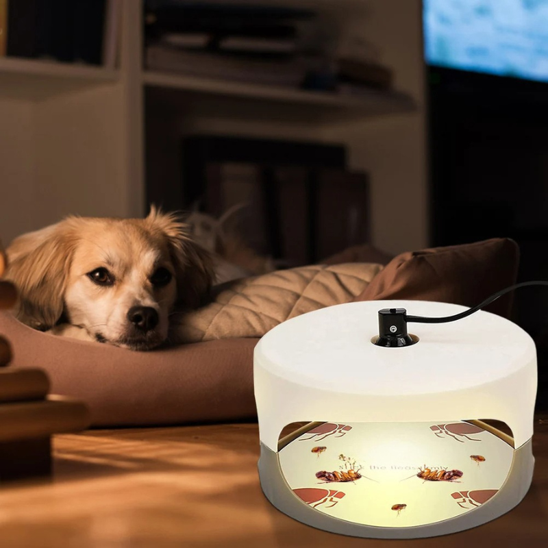 Smart Bed Bug Detection System
